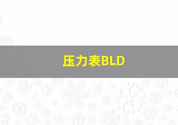 压力表BLD