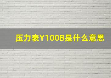 压力表Y100B是什么意思