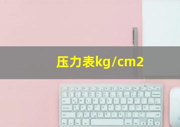 压力表kg/cm2