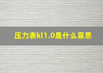 压力表kl1.0是什么意思