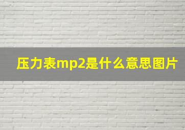 压力表mp2是什么意思图片