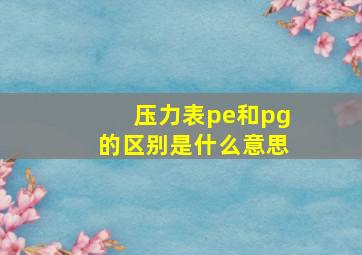 压力表pe和pg的区别是什么意思