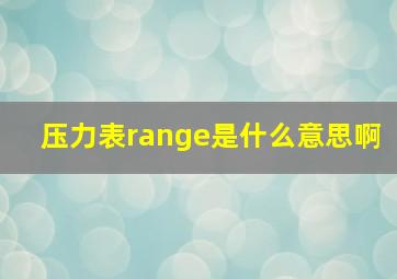 压力表range是什么意思啊