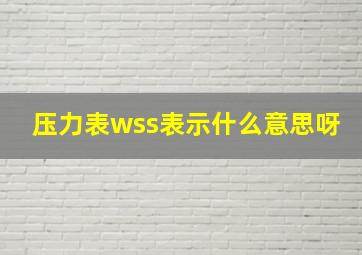 压力表wss表示什么意思呀