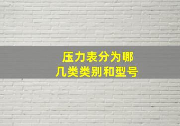 压力表分为哪几类类别和型号