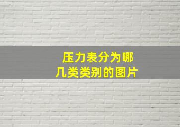 压力表分为哪几类类别的图片