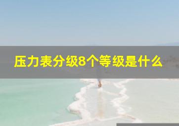 压力表分级8个等级是什么