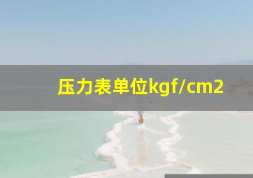 压力表单位kgf/cm2