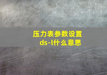 压力表参数设置ds-l什么意思