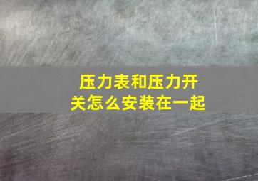 压力表和压力开关怎么安装在一起