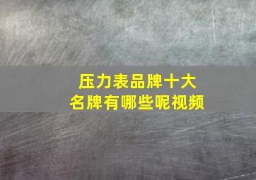 压力表品牌十大名牌有哪些呢视频