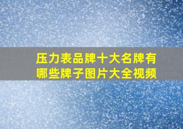 压力表品牌十大名牌有哪些牌子图片大全视频