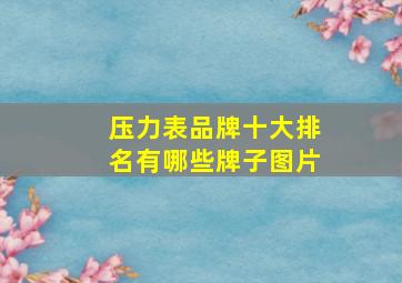 压力表品牌十大排名有哪些牌子图片