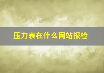 压力表在什么网站报检