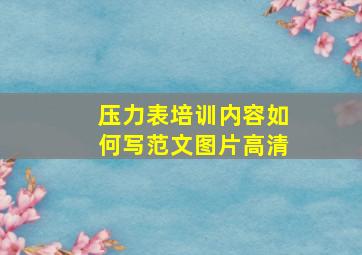 压力表培训内容如何写范文图片高清