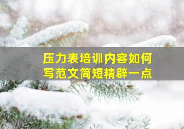 压力表培训内容如何写范文简短精辟一点