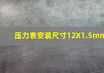 压力表安装尺寸12X1.5mm