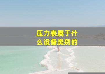 压力表属于什么设备类别的