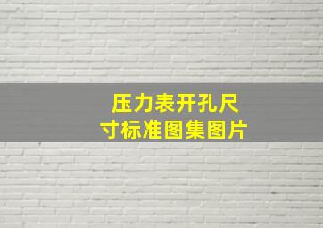 压力表开孔尺寸标准图集图片