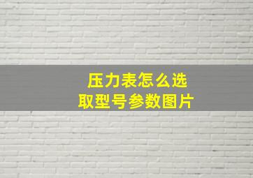 压力表怎么选取型号参数图片