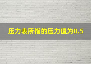 压力表所指的压力值为0.5