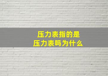 压力表指的是压力表吗为什么