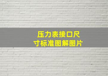 压力表接口尺寸标准图解图片