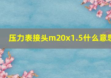 压力表接头m20x1.5什么意思