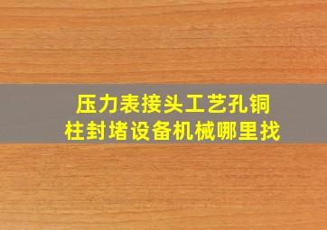 压力表接头工艺孔铜柱封堵设备机械哪里找