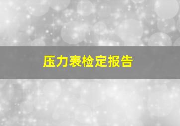 压力表检定报告