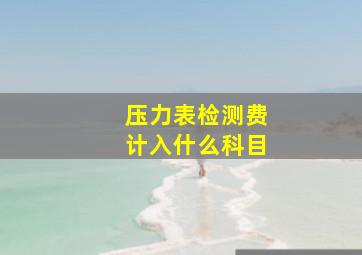 压力表检测费计入什么科目