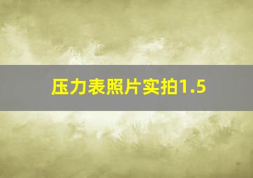 压力表照片实拍1.5