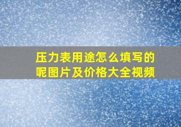 压力表用途怎么填写的呢图片及价格大全视频