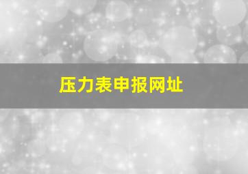 压力表申报网址