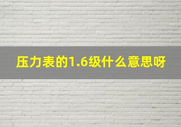 压力表的1.6级什么意思呀