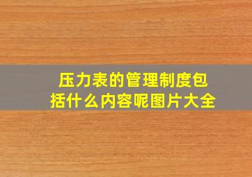 压力表的管理制度包括什么内容呢图片大全