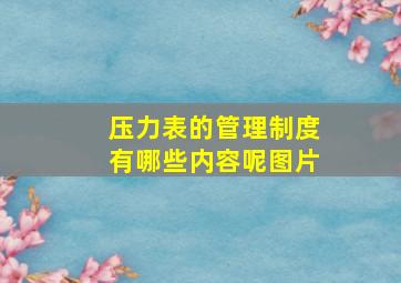 压力表的管理制度有哪些内容呢图片