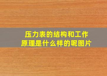 压力表的结构和工作原理是什么样的呢图片