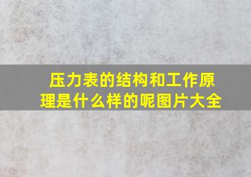 压力表的结构和工作原理是什么样的呢图片大全