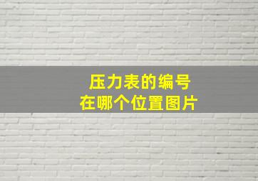 压力表的编号在哪个位置图片