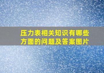 压力表相关知识有哪些方面的问题及答案图片