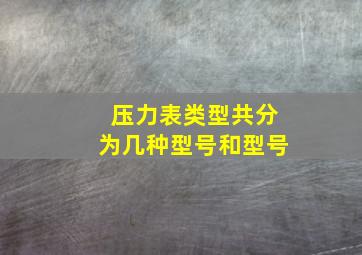 压力表类型共分为几种型号和型号