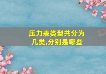 压力表类型共分为几类,分别是哪些