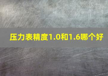 压力表精度1.0和1.6哪个好