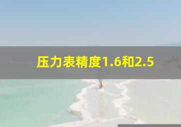 压力表精度1.6和2.5