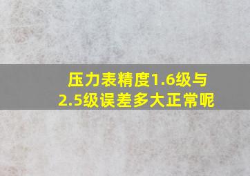 压力表精度1.6级与2.5级误差多大正常呢