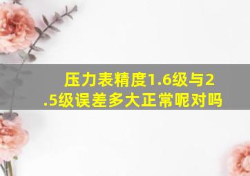 压力表精度1.6级与2.5级误差多大正常呢对吗