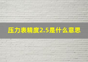 压力表精度2.5是什么意思