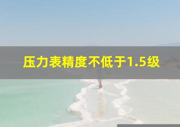 压力表精度不低于1.5级