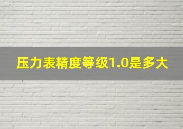 压力表精度等级1.0是多大